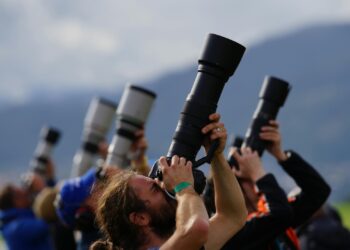 İsveç’in Tarafsız Gazetecileri